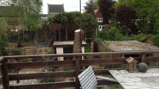 verwijderen van een treurwilg in de achtertuin in etten leur